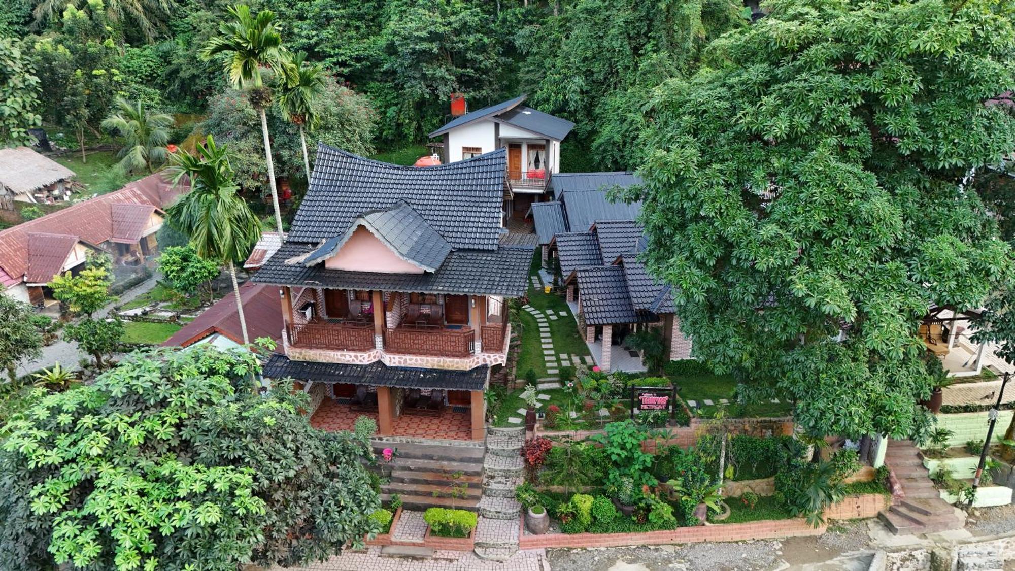 Thomas' Retreat Bukit Lawang Hotel Eksteriør billede