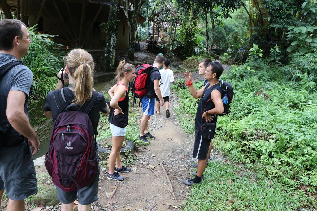 Thomas' Retreat Bukit Lawang Hotel Eksteriør billede
